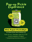 Pickle Workshop